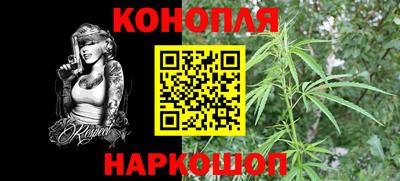 PSILOCYBIN Нальчик