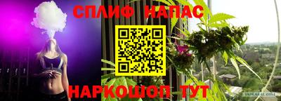 стаф Нарткала