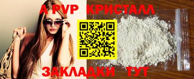 PSILOCYBIN Нальчик