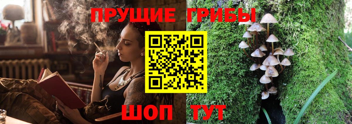 Псилоцибиновые грибы Cubensis  Вход с VPN  Берёзовский 