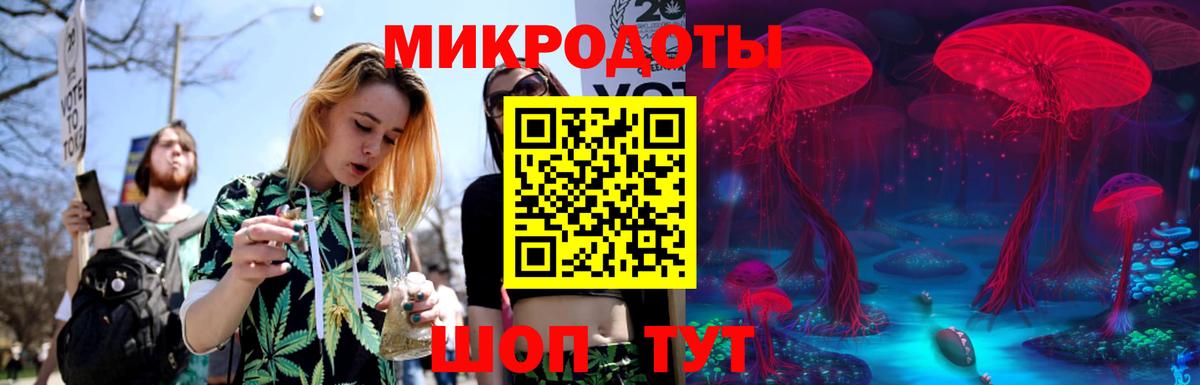 Галлюциногенные грибы Cubensis Берёзовский